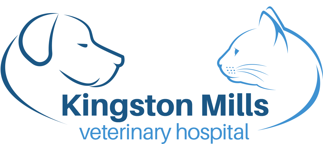 Kingston Mills Veterinary Hospital